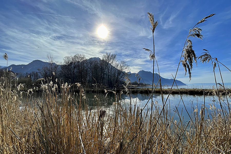 Stille am Genfersee. Bild: Sandra Baumeler
