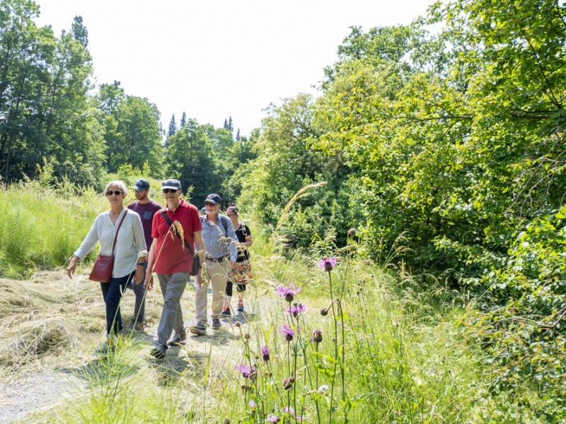 Entdecken-Bewegen-Begegnen