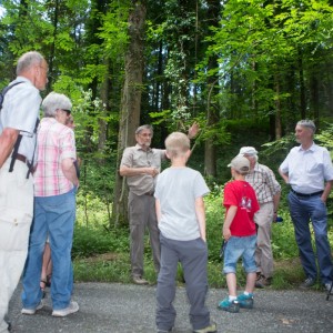 29._Juni_2016_13__52_55_Zaeme_erlaebe_Guetschwald.jpg