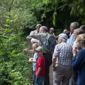 29._Juni_2016_14__39_38_Zaeme_erlaebe_Guetschwald.jpg