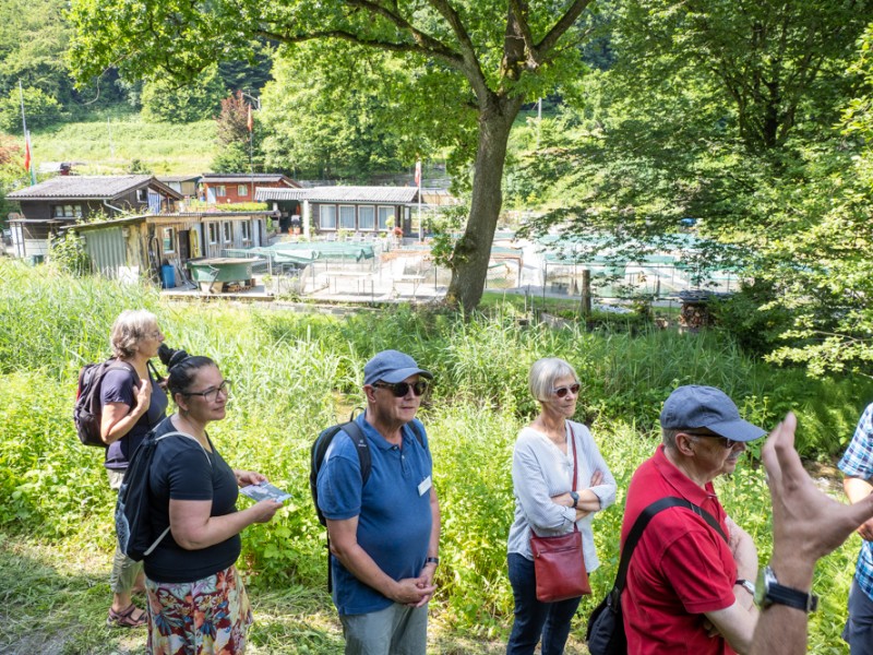 Spaziergänge in die Nachbarschaft