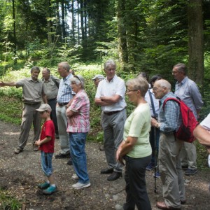 29._Juni_2016_14__31_48_Zaeme_erlaebe_Guetschwald.jpg