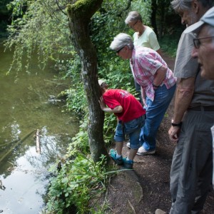 29._Juni_2016_14__44_01_Zaeme_erlaebe_Guetschwald.jpg