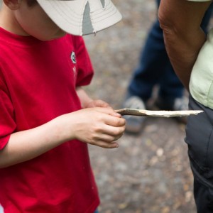 29._Juni_2016_14__33_23_Zaeme_erlaebe_Guetschwald.jpg