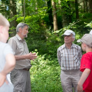 29._Juni_2016_13__51_43_Zaeme_erlaebe_Guetschwald.jpg