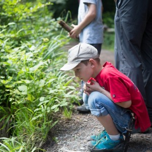 29._Juni_2016_14__40_36_Zaeme_erlaebe_Guetschwald.jpg