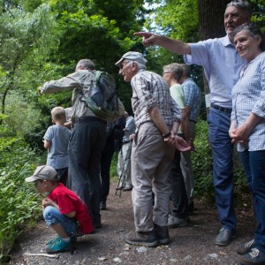 29._Juni_2016_14__40_44_Zaeme_erlaebe_Guetschwald.jpg