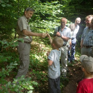 29._Juni_2016_15__01_39_Zaeme_erlaebe_Guetschwald.jpg