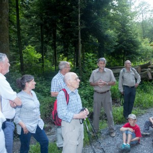 29._Juni_2016_14__06_13_Zaeme_erlaebe_Guetschwald.jpg