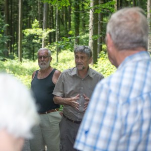 29._Juni_2016_13__47_28_Zaeme_erlaebe_Guetschwald.jpg