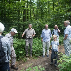 29._Juni_2016_14__17_32_Zaeme_erlaebe_Guetschwald.jpg