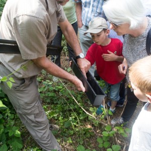 29._Juni_2016_15__23_09_Zaeme_erlaebe_Guetschwald.jpg