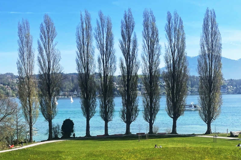 Unterwegs mit R. W. durch die Stadt