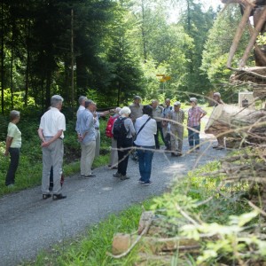 29._Juni_2016_14__03_44_Zaeme_erlaebe_Guetschwald.jpg