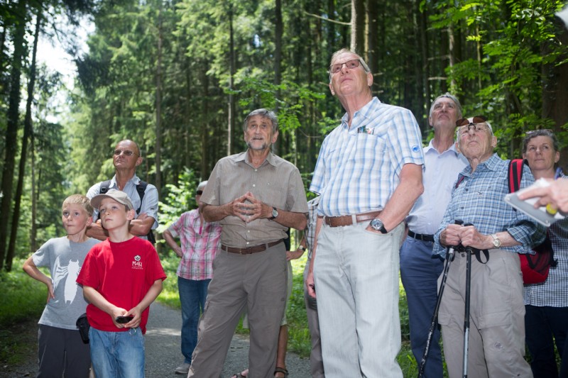 Zäme erläbe - Was gibt es denn im Gütschwald zu entdecken