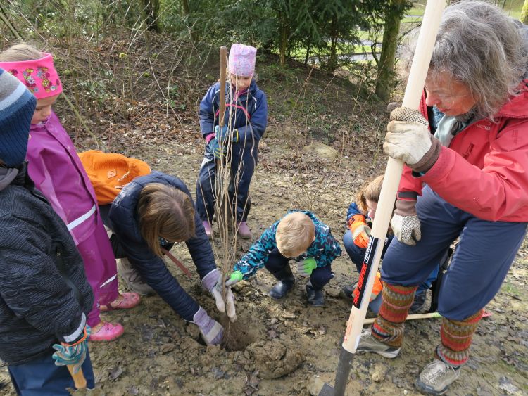 Einen Strauch setzen als nachhaltiges Erlebnis